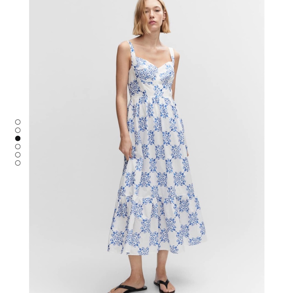 Embroidered flared dress